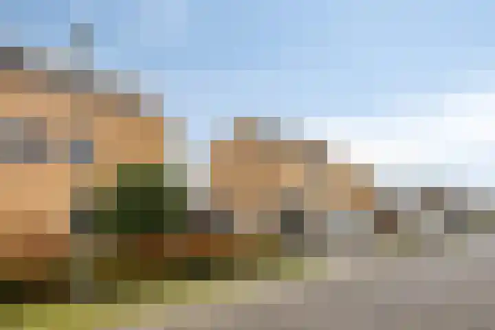 Laakse Oever 59 Zutphen thumbnail 4