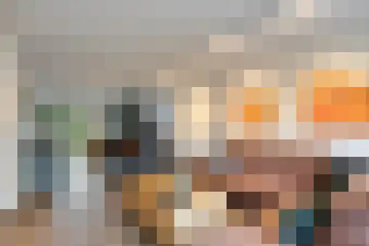 Laakse Oever 59 Zutphen thumbnail 7