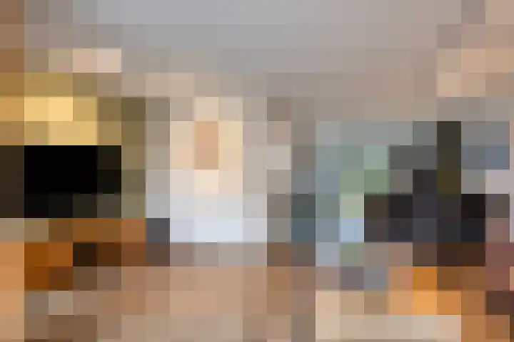 Laakse Oever 59 Zutphen thumbnail 8