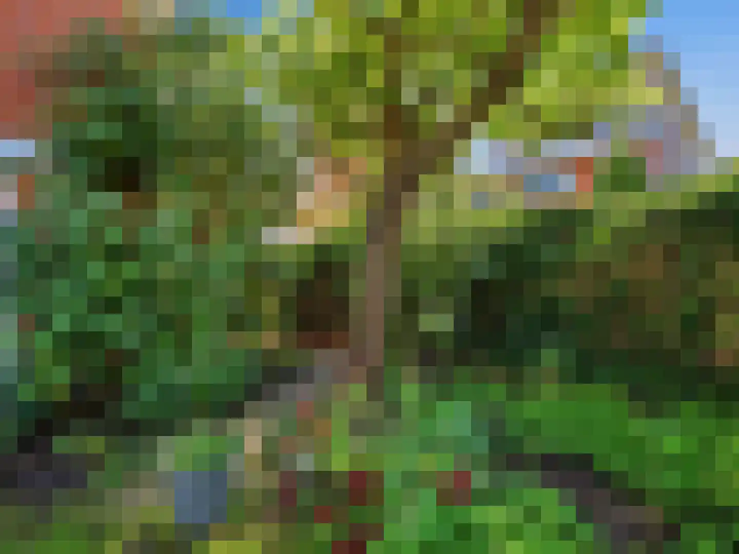 Laakse Tuin 2 Zutphen thumbnail 37