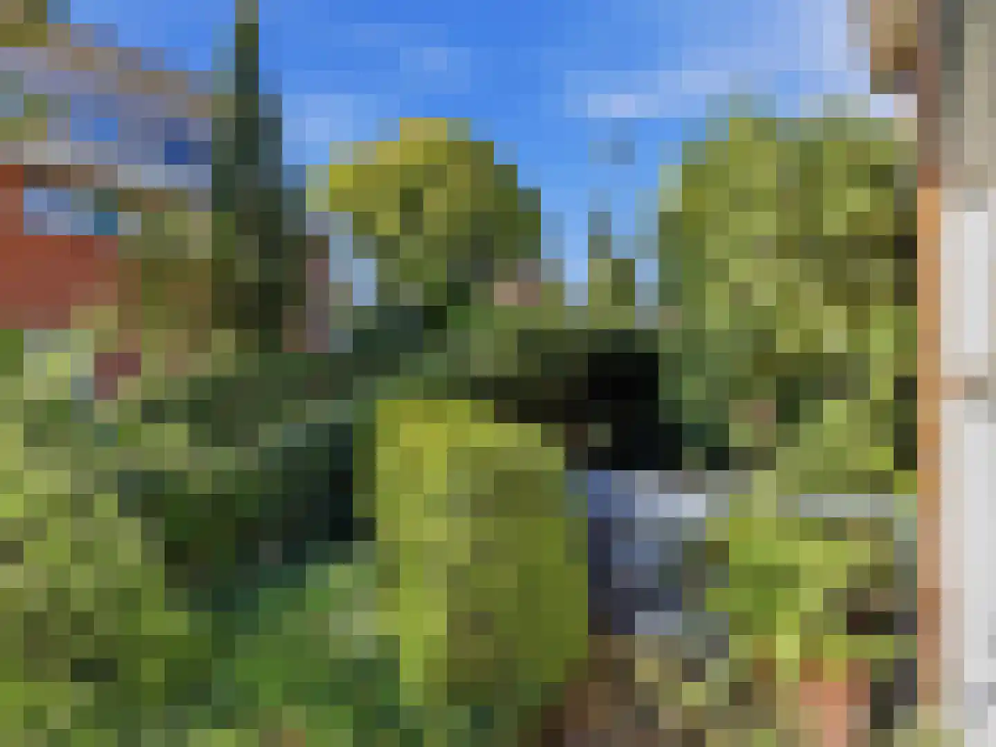 Laakse Tuin 2 Zutphen thumbnail 45