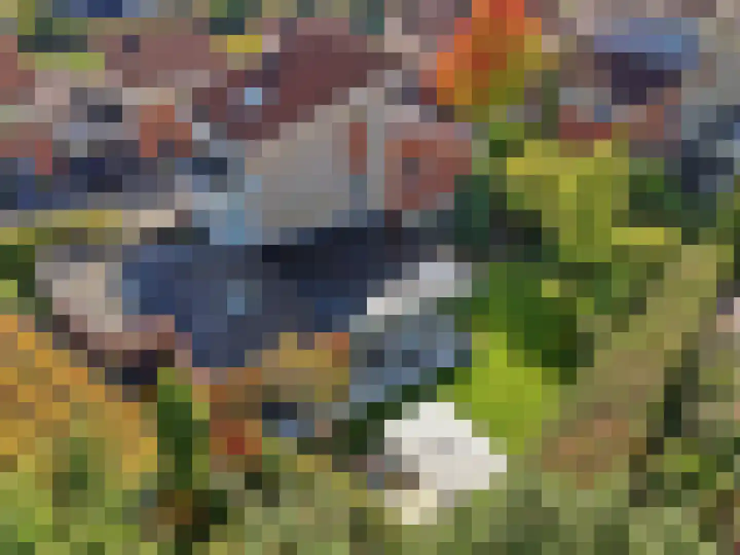 Laakse Tuin 2 Zutphen thumbnail 47