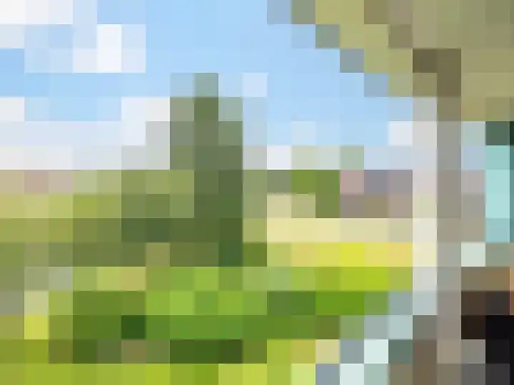 Laakse Tuin 31 Zutphen thumbnail 15