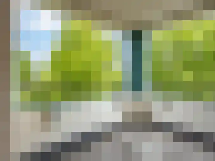 Laakse Tuin 31 Zutphen thumbnail 25
