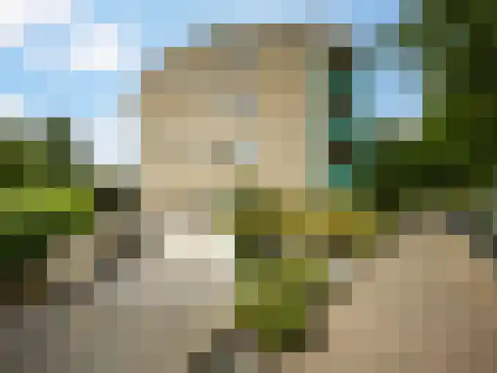 Laakse Tuin 31 Zutphen thumbnail 31