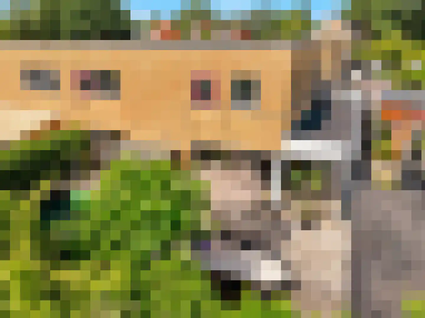 Laakse Veld 17 Zutphen thumbnail 29