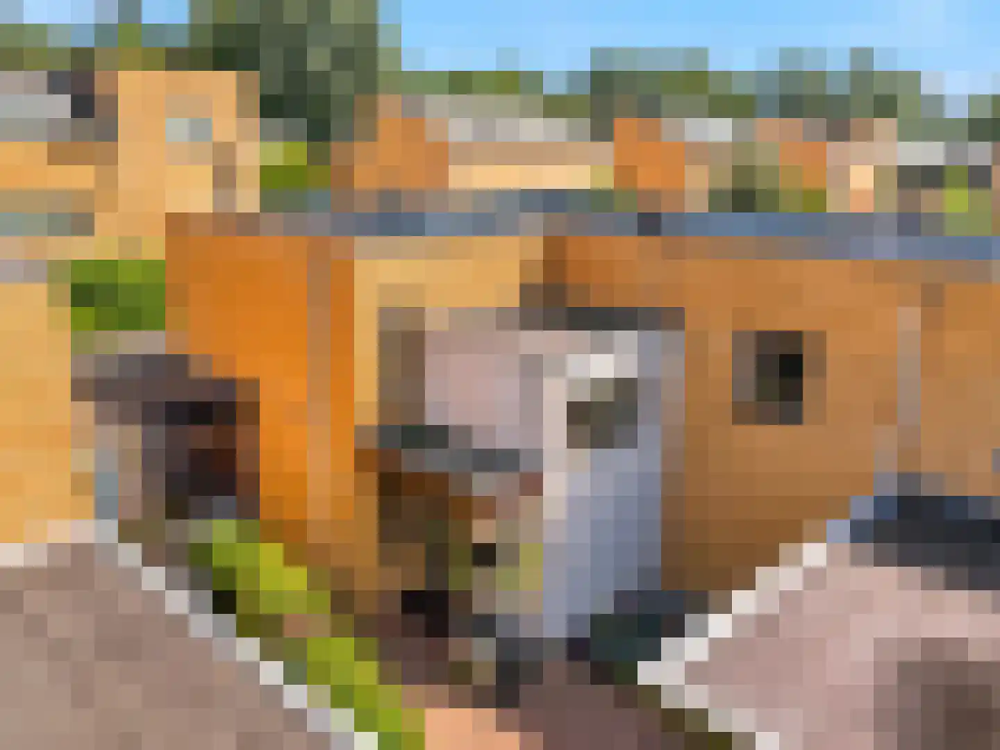Laakse Veld 17 Zutphen thumbnail 36