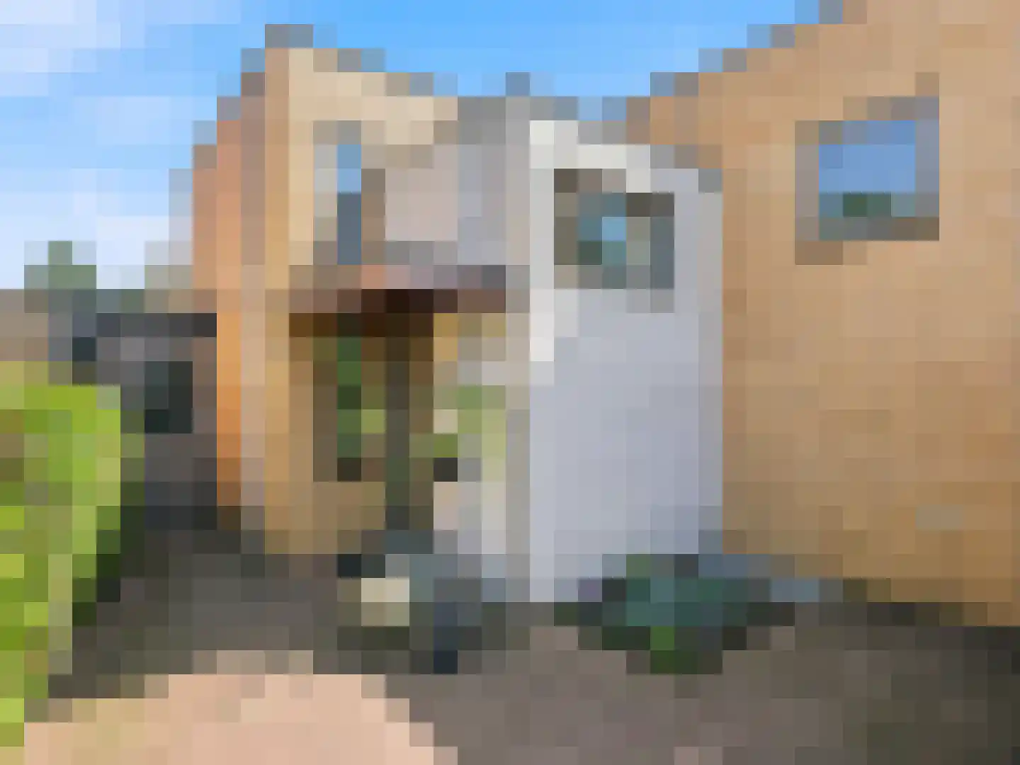 Laakse Veld 17 Zutphen thumbnail 37