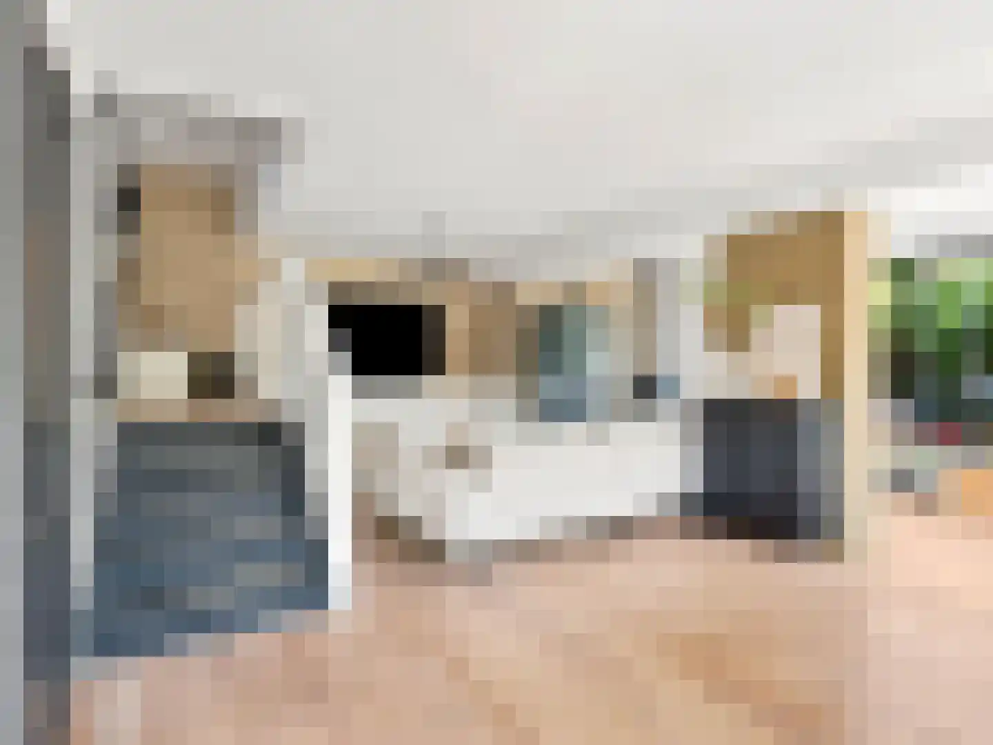 Laakse Veld 17 Zutphen thumbnail 4
