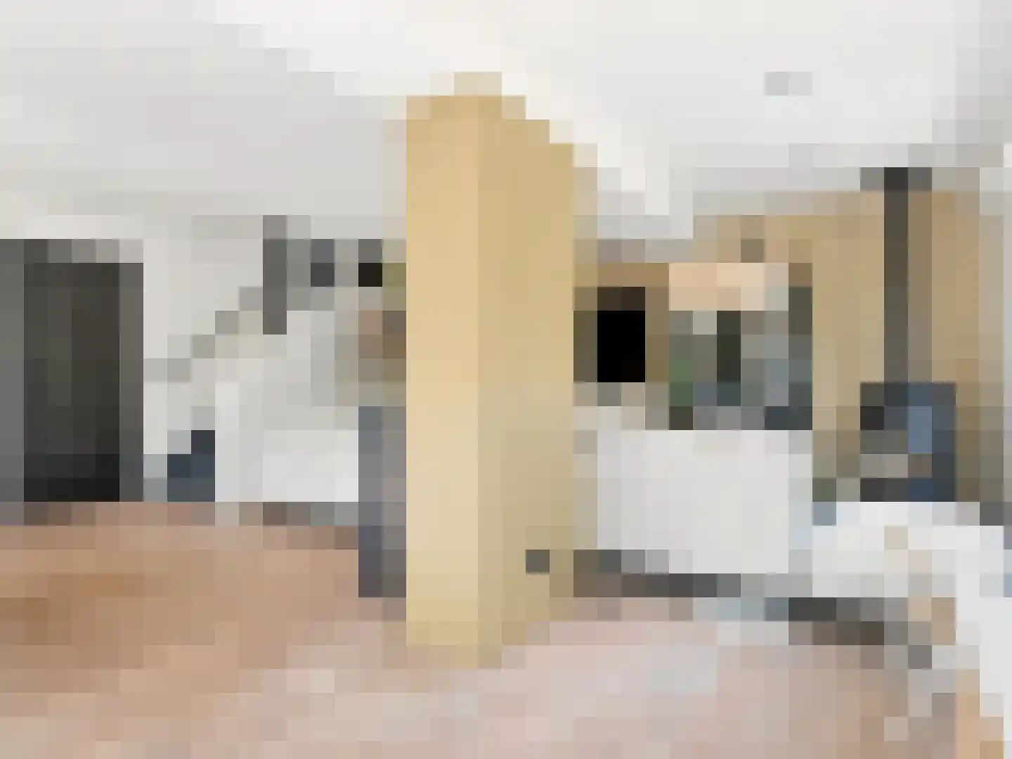 Laakse Veld 17 Zutphen thumbnail 8