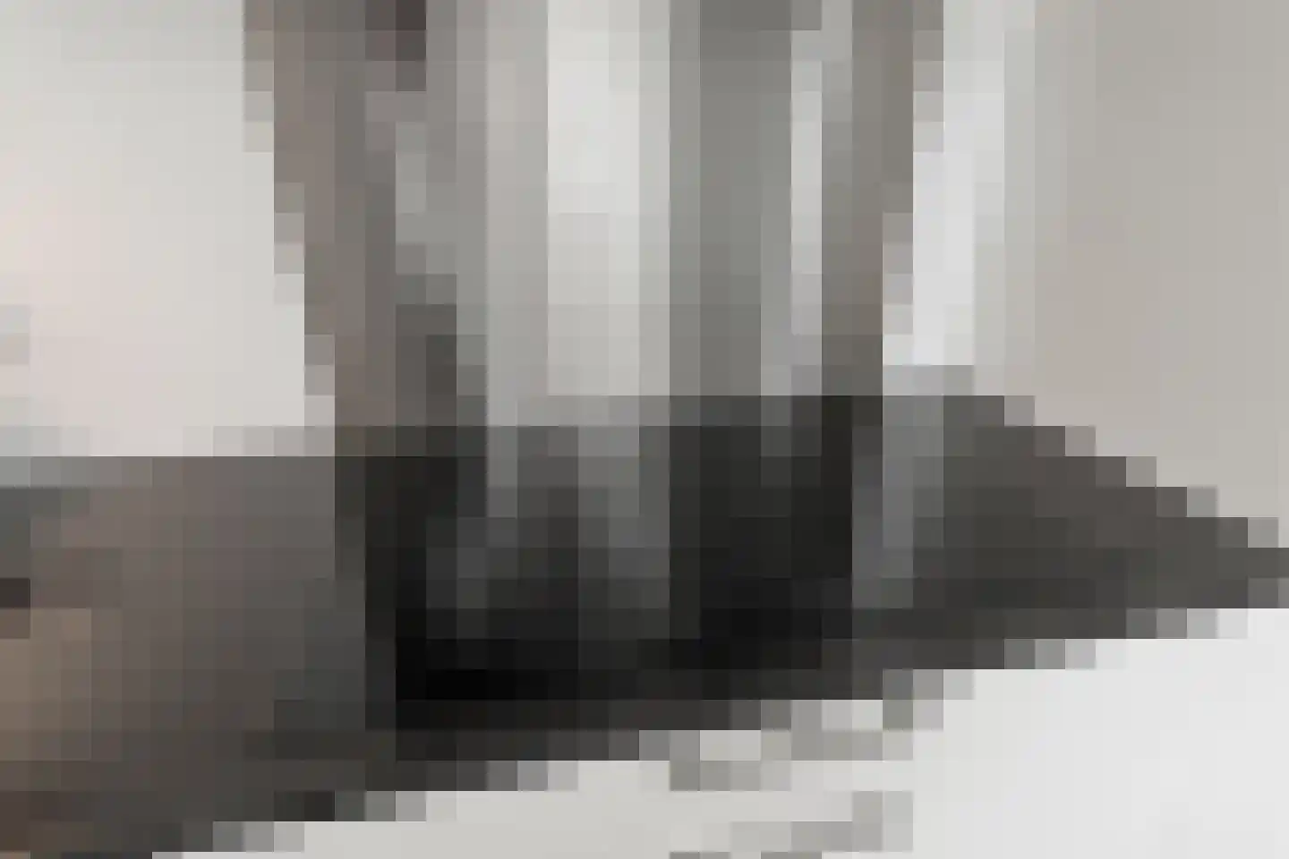 Laakse Weide 14 Lexmond thumbnail 11