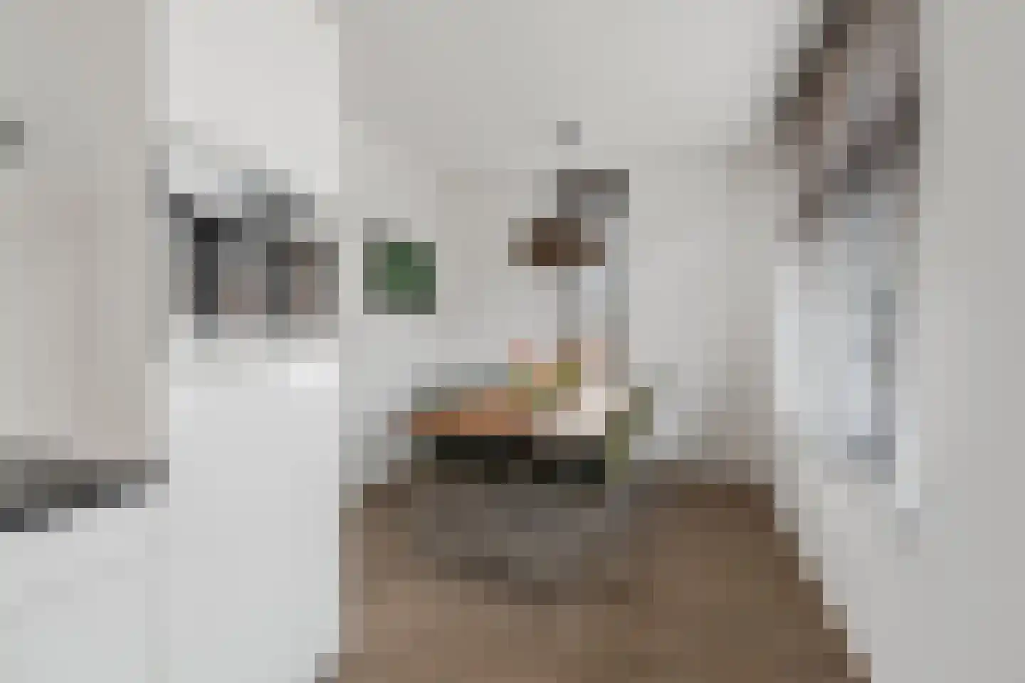 Laakse Weide 14 Lexmond thumbnail 12
