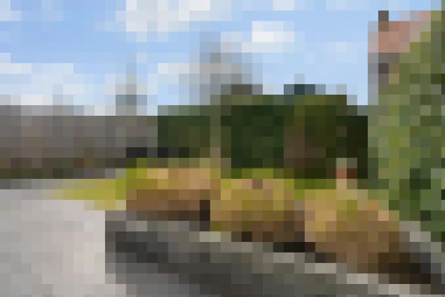 Laakse Weide 14 Lexmond thumbnail 16