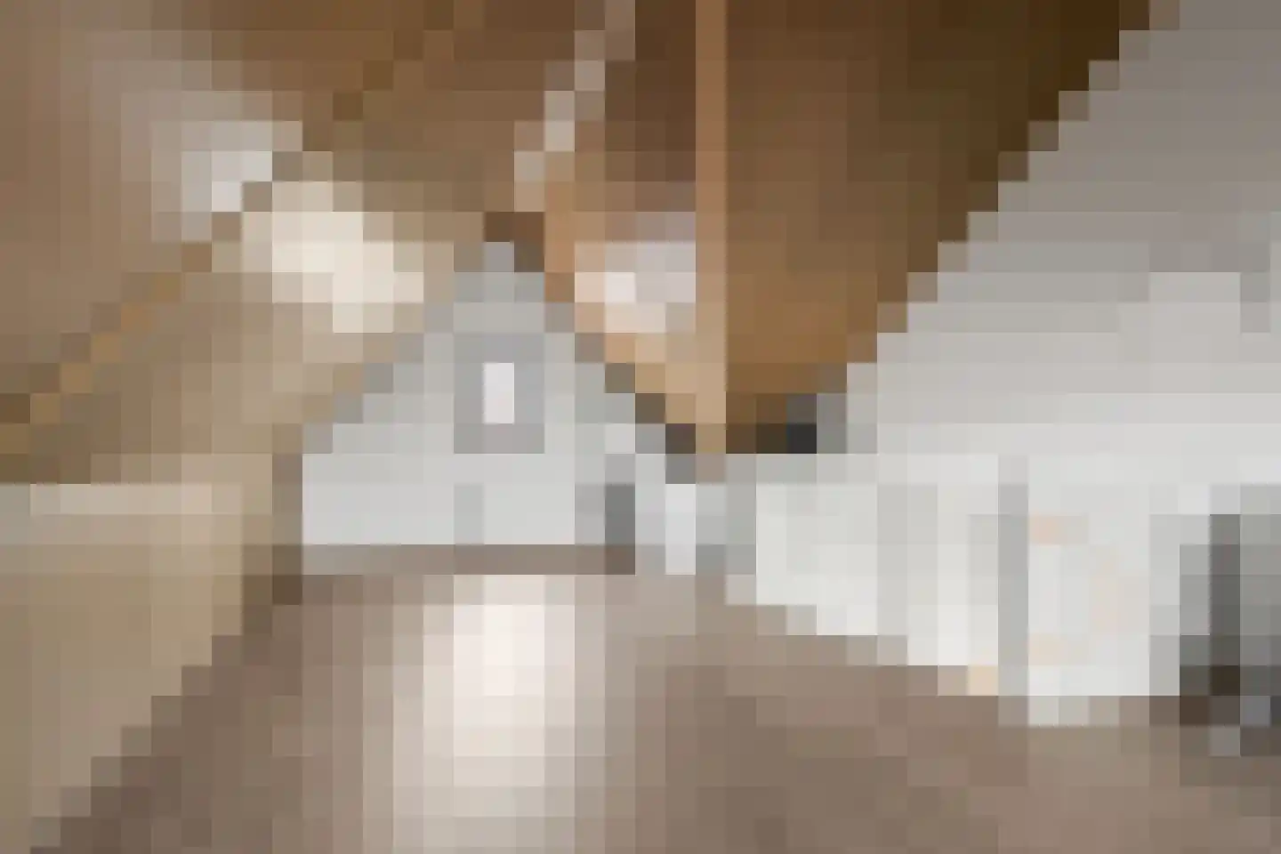 Laakse Weide 14 Lexmond thumbnail 27