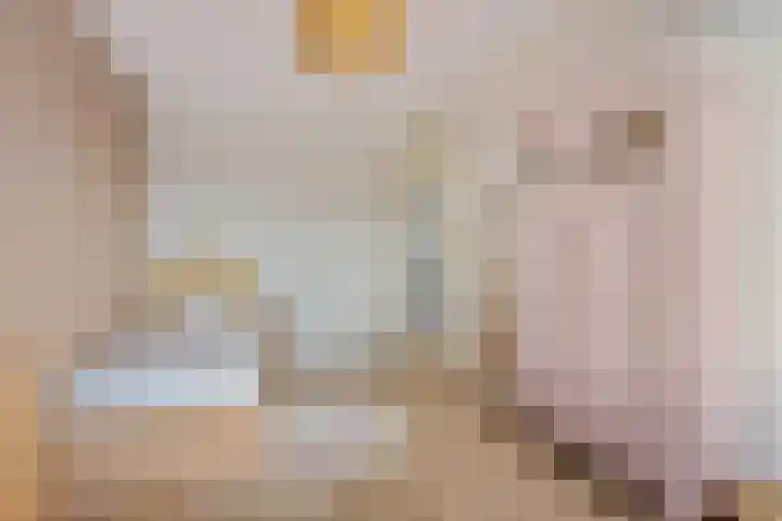 Laakse Weide 6 Lexmond thumbnail 13