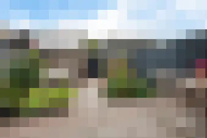 Laakse Weide 6 Lexmond thumbnail 27