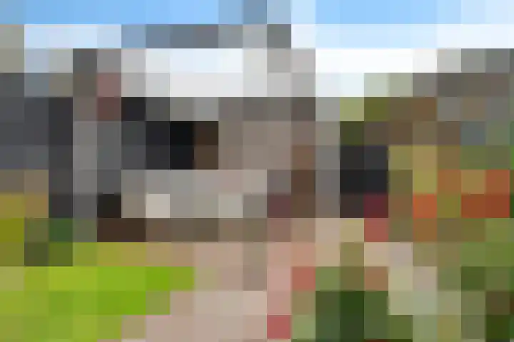 Laakse Weide 6 Lexmond thumbnail 29