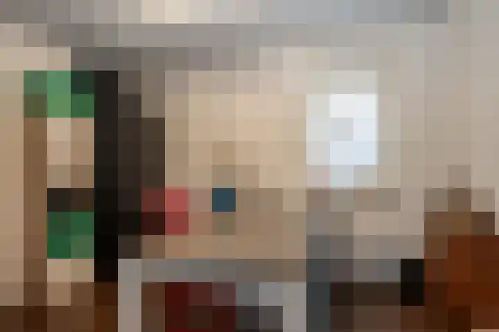 Laakstraat 2 Mussel thumbnail 18