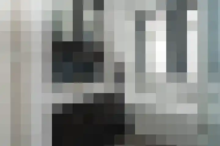 Laakstraat 2 Mussel thumbnail 22