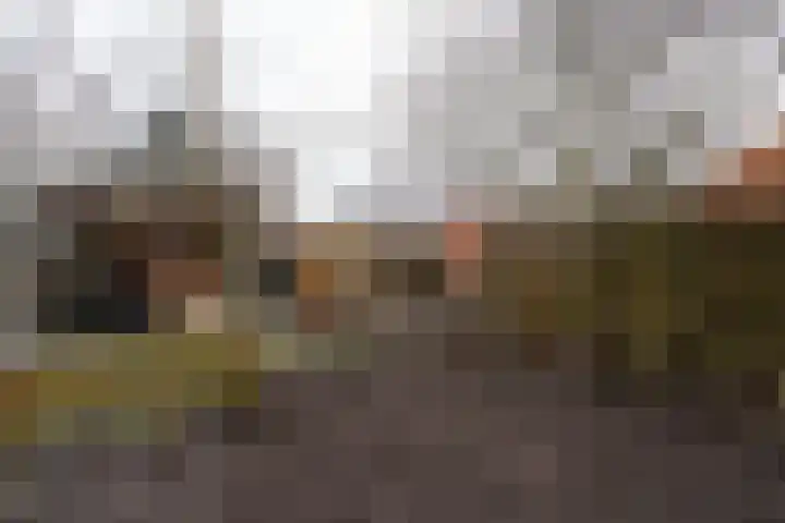 Laakstraat 2 Mussel thumbnail 46