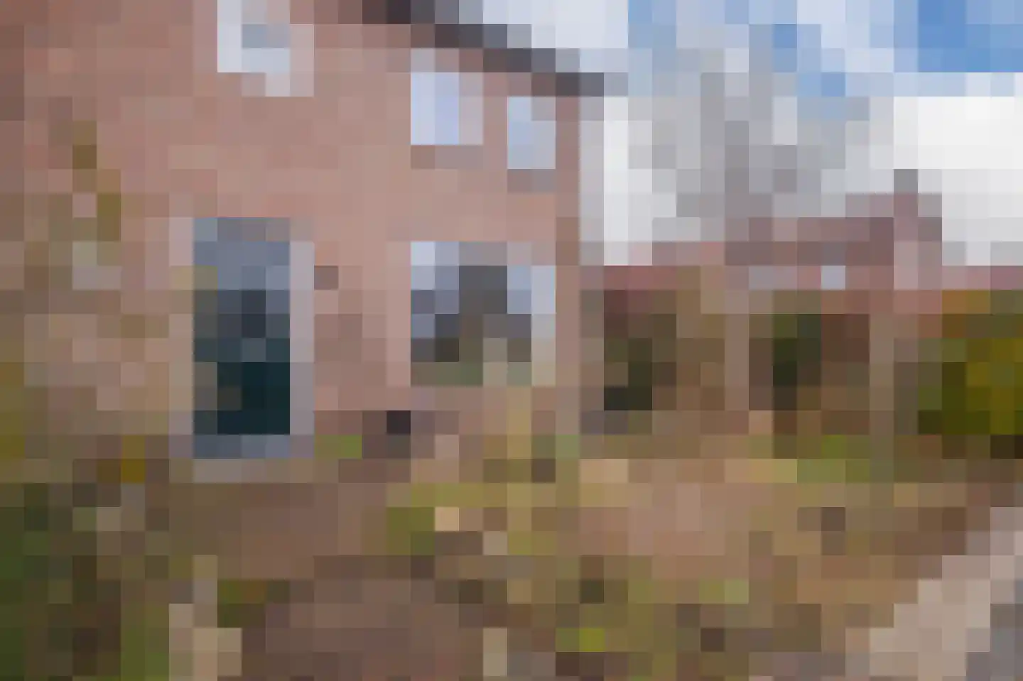 Laakweg 1 Oosterbeek