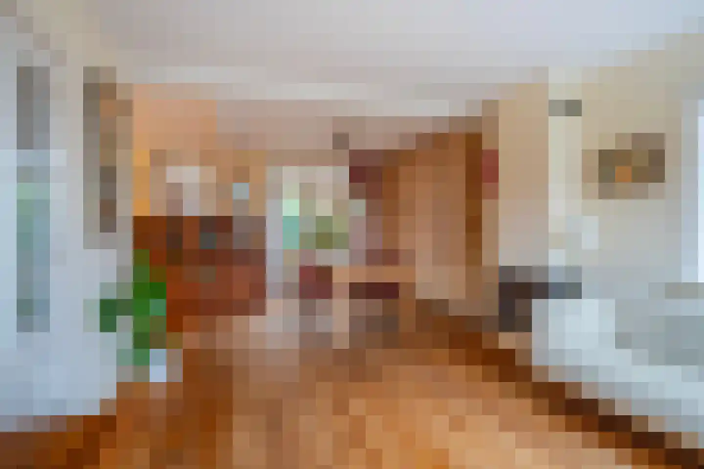 Laakweg 1 Oosterbeek thumbnail 11