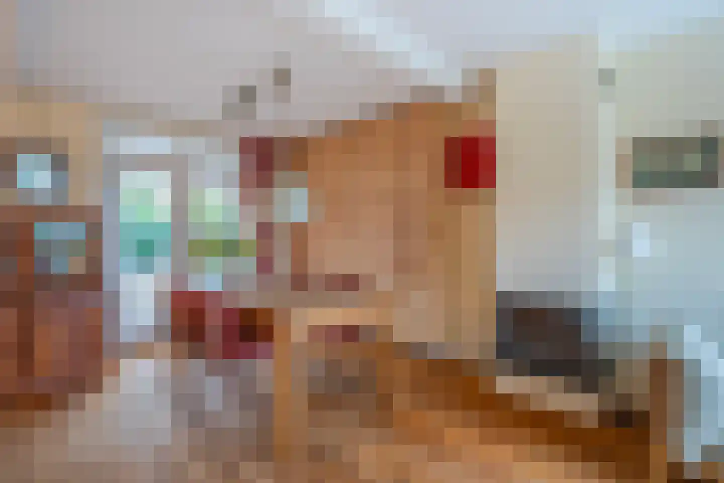 Laakweg 1 Oosterbeek thumbnail 12