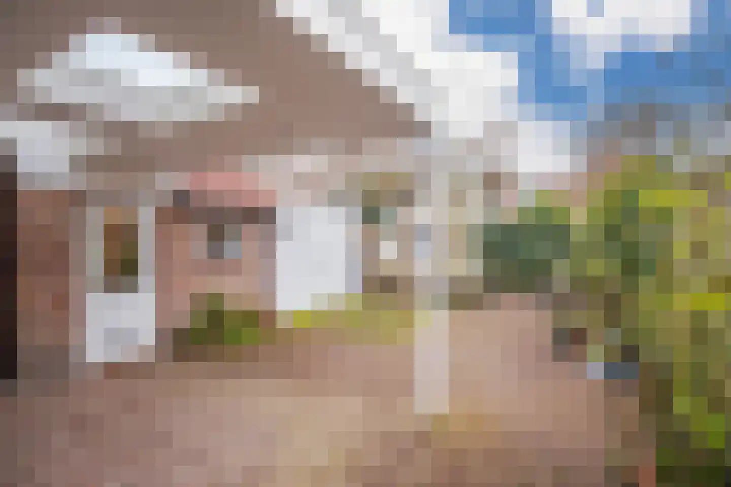 Laakweg 1 Oosterbeek thumbnail 31