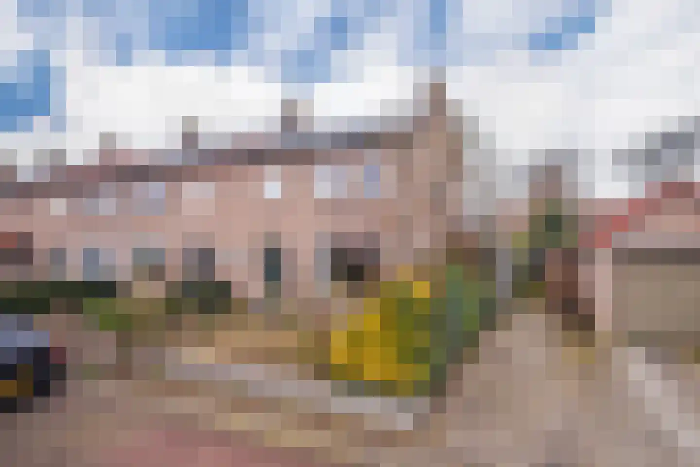 Laakweg 1 Oosterbeek thumbnail 5
