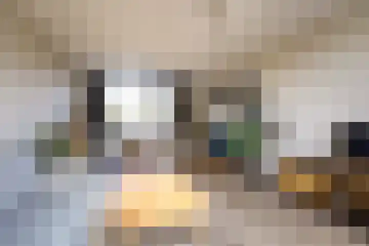 Laakweg 16 Arcen thumbnail 10