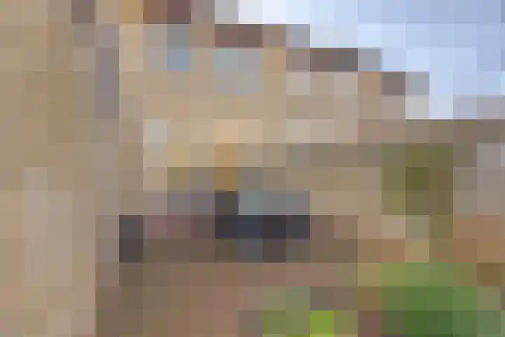 Laakweg 16 Arcen thumbnail 33