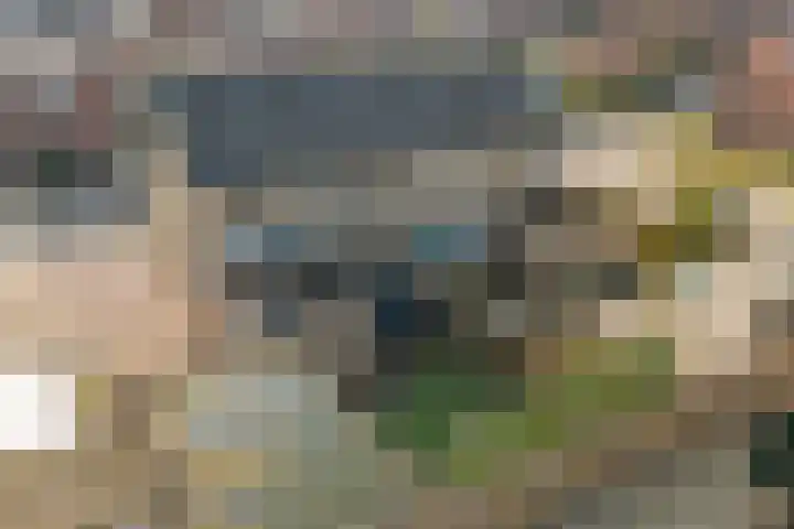 Laakweg 16 Arcen thumbnail 40