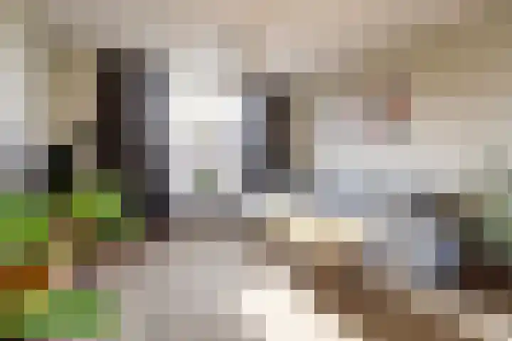 Laakweg 16 Arcen thumbnail 8