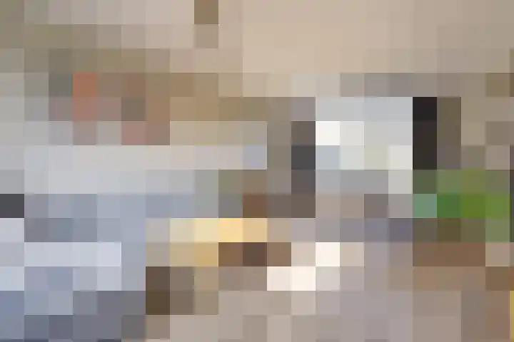 Laakweg 16 Arcen thumbnail 9