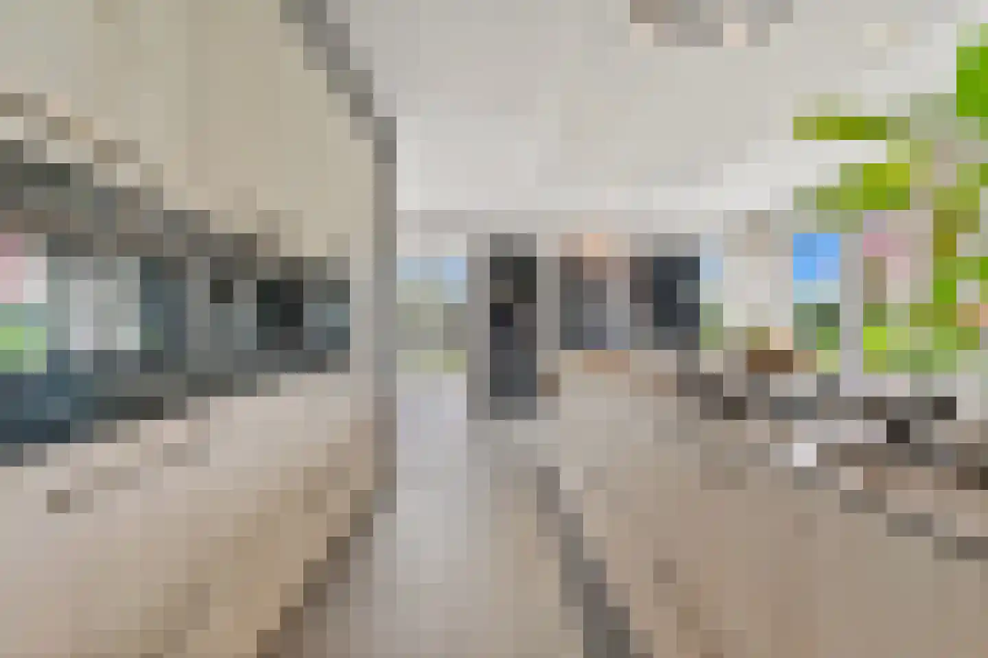 Laakweg 2 a Nootdorp thumbnail 32