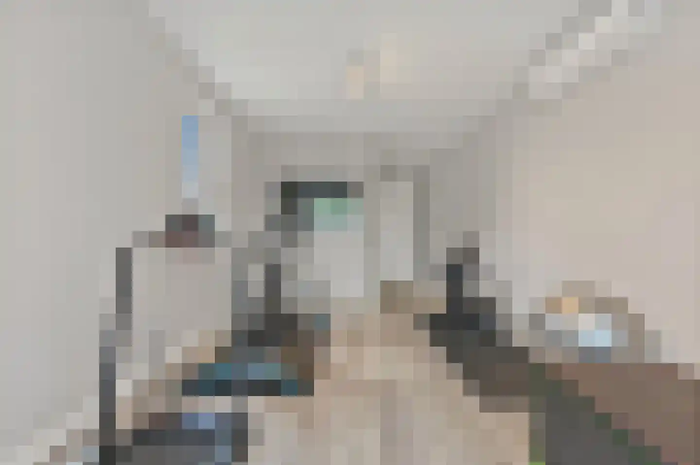 Laakweg 2 a Nootdorp thumbnail 39