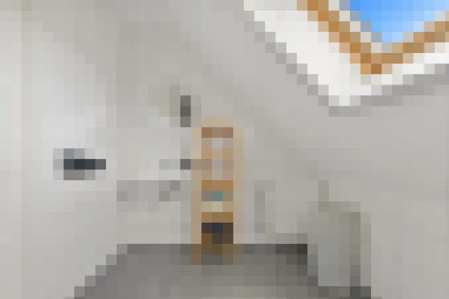 Laakweg 2 a Nootdorp thumbnail 60