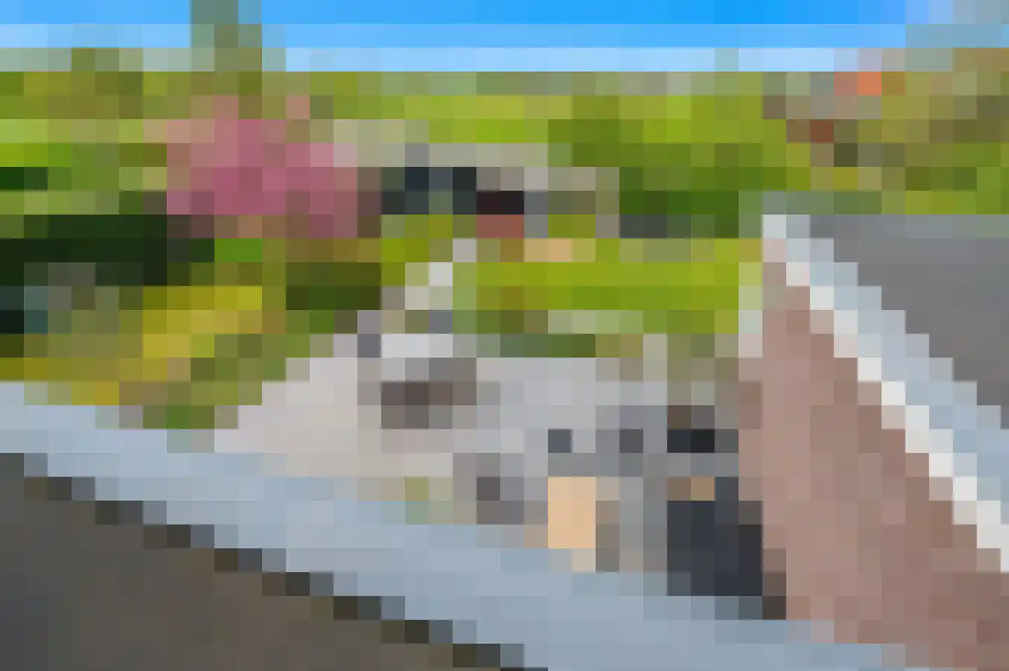 Laakweg 2 a Nootdorp thumbnail 78