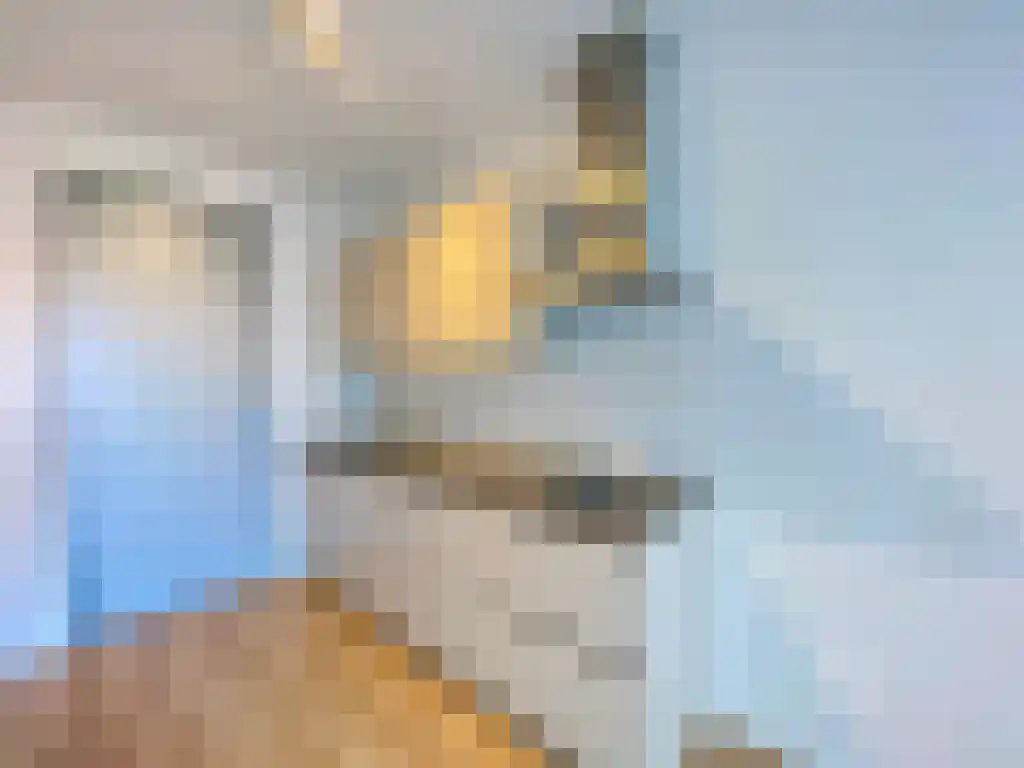 Laakweg 21 Y Den Haag thumbnail 4