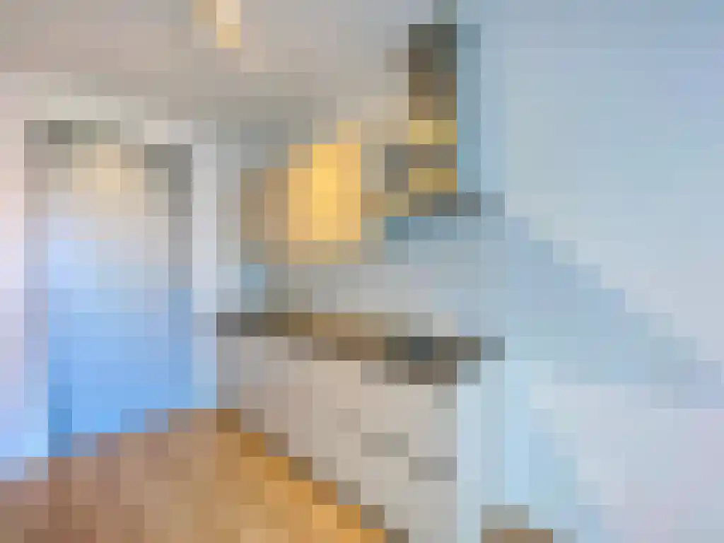 Laakweg 21 Z Den Haag thumbnail 4