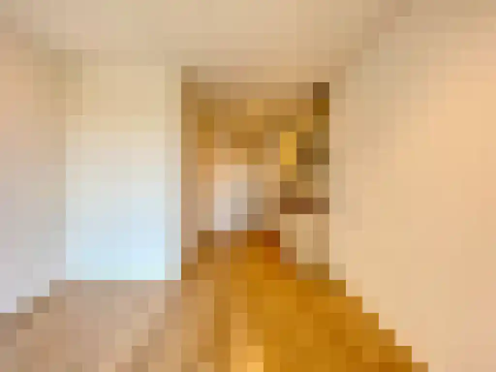 Laakweg 21 Z Den Haag thumbnail 6