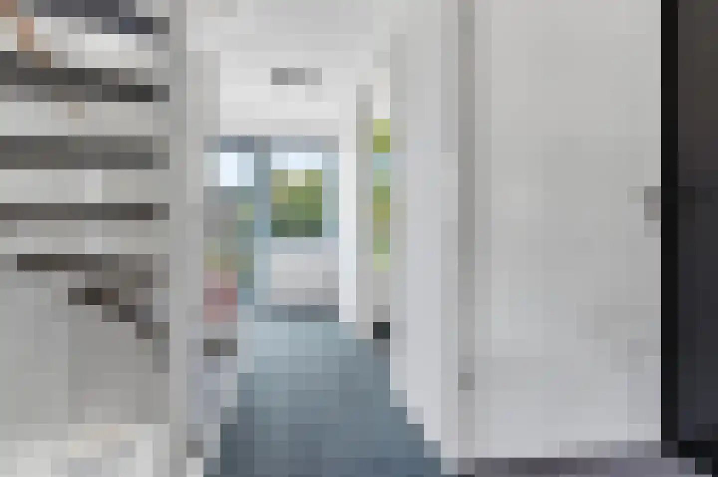 Laakweg 225 Den Haag thumbnail 20