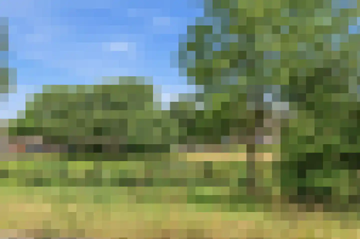 Laakweg 225 Den Haag thumbnail 34