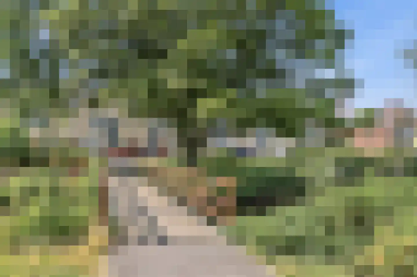 Laakweg 225 Den Haag thumbnail 35