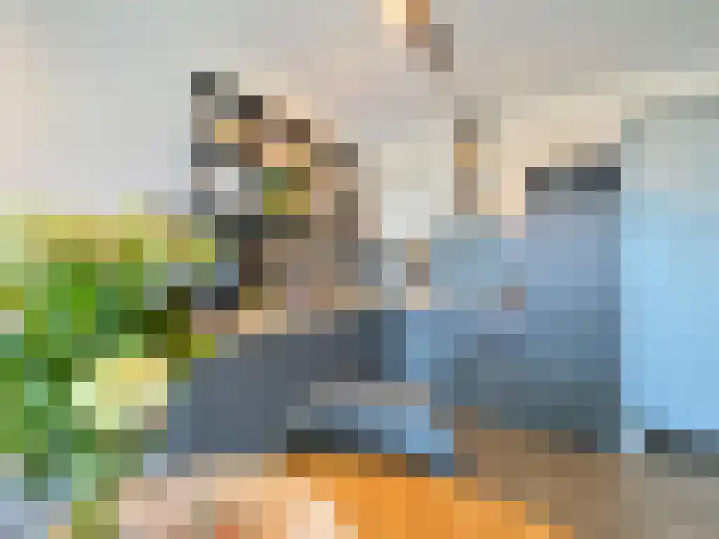 Laakweg 28 V Den Haag thumbnail 5