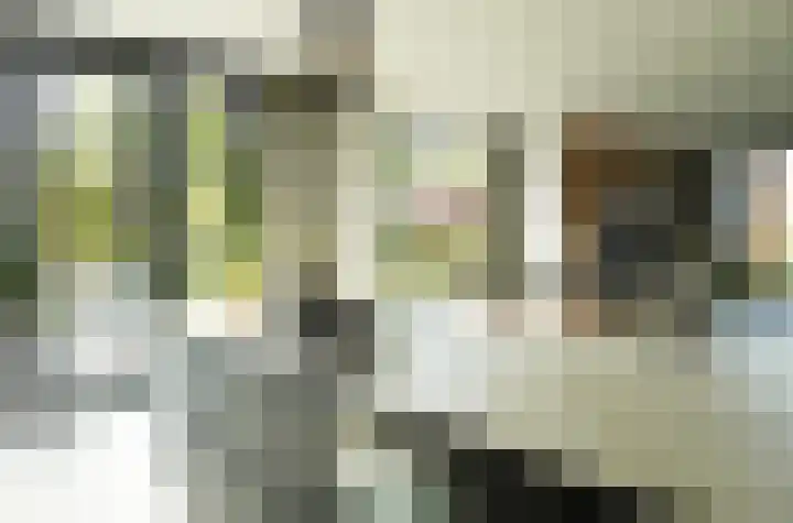 Laakweg 32 a Nijkerkerveen thumbnail 16