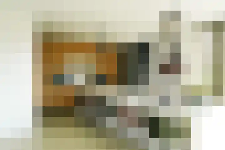 Laakweg 32 a Nijkerkerveen thumbnail 22