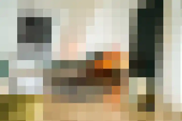 Laakweg 32 a Nijkerkerveen thumbnail 27