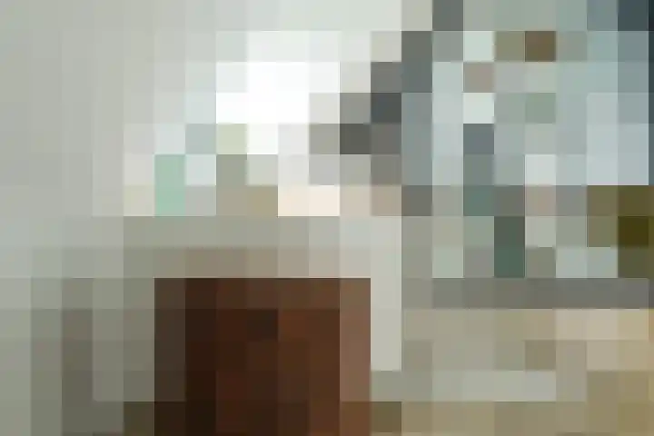 Laakweg 32 a Nijkerkerveen thumbnail 34
