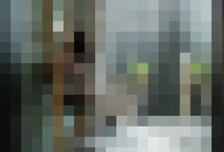 Laakweg 32 a Nijkerkerveen thumbnail 46